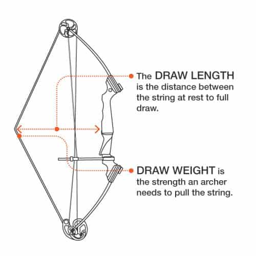 Compaound Bow Weight Draw Length