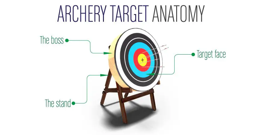 ArcheryTargetAnatomy