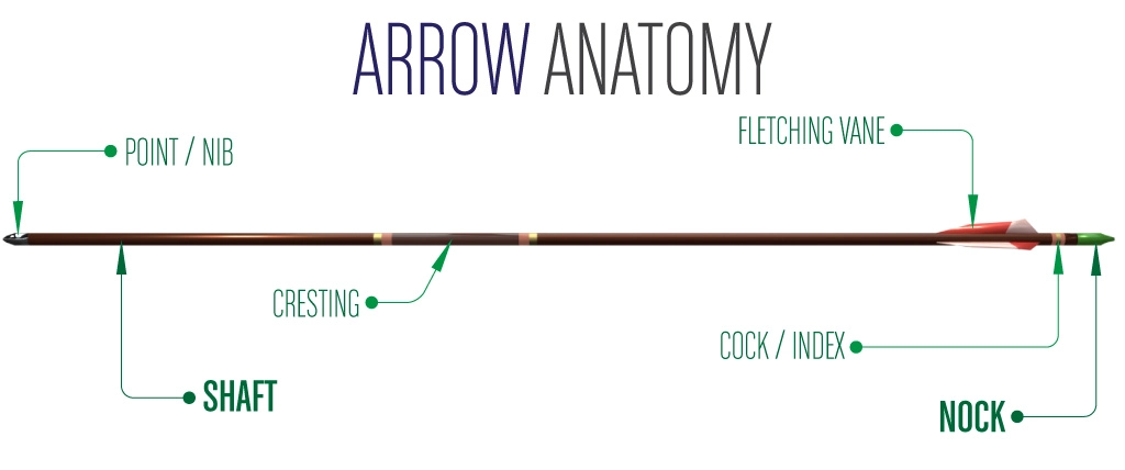 ArrowAnatomy