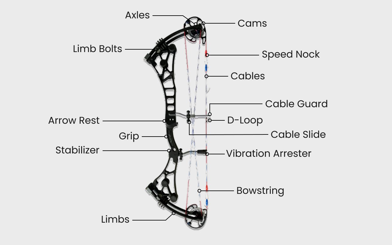 CHARACTERISTICS OF THE RIGHT COMPOUND BOW FOR YOU