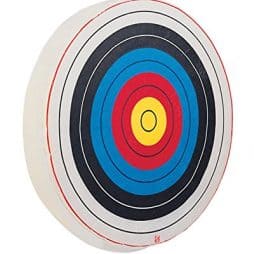 Bear Archery Foam Target