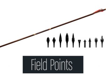 fieldPoint ARROW 1200x760px