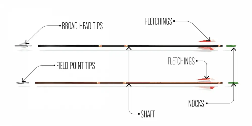 Parts anatomy of archery arrow