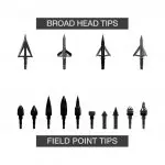 arrow heads broad field point tips