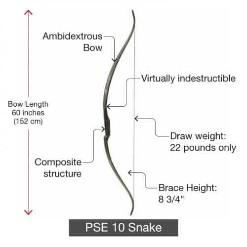 PSE10Snake