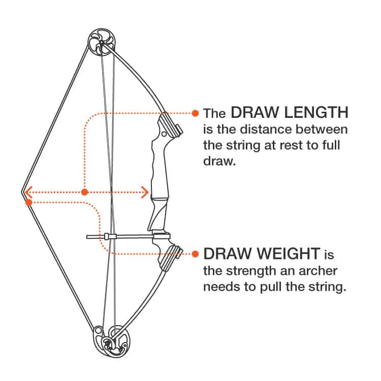 How Heavy is a Compound Bow - Boss Targets Archery Bows