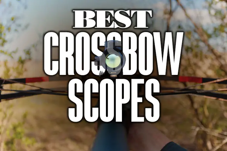 BestCrossbowScopes