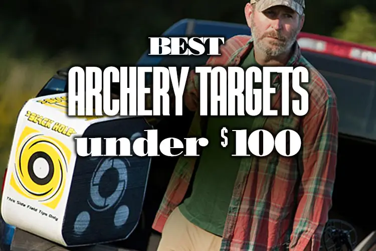 Best Archery Targets under 100 USD 2024