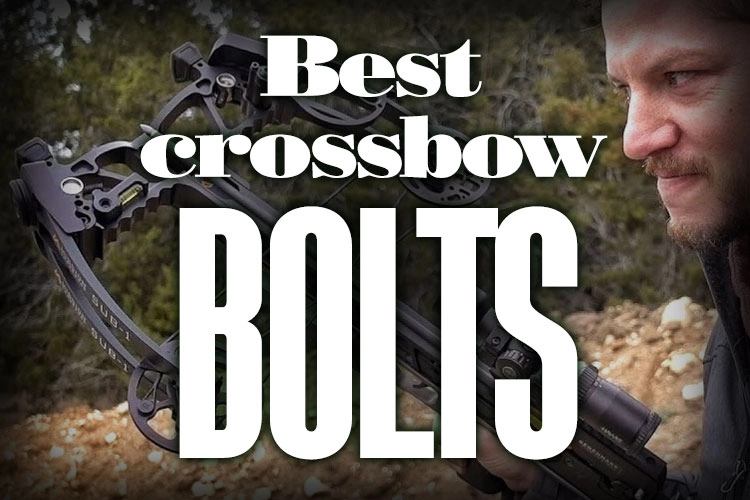 BestCrossbowBoltOf2021