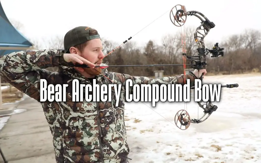 bear archery compound bow