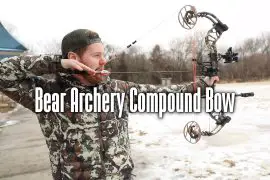 bear archery compound bow