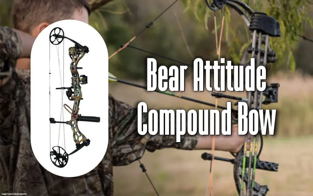 bear attitude compound bow