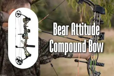 bear attitude compound bow