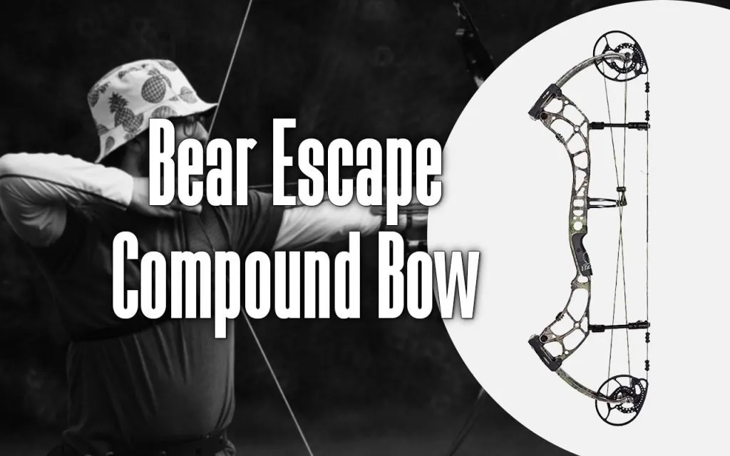 bear escape compound bow