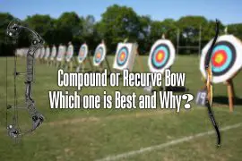 compound or recurve bow