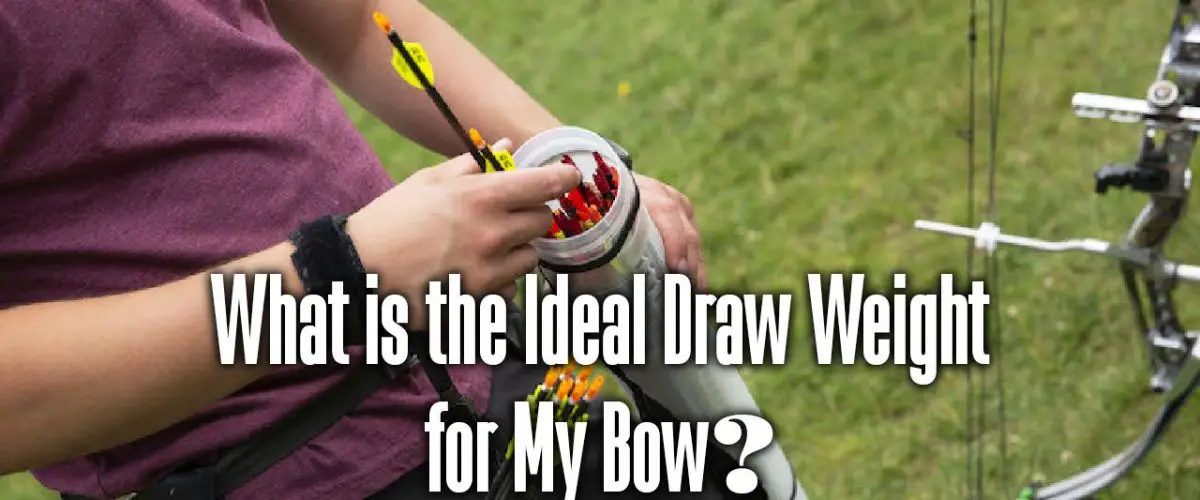 What is the Ideal Draw Weight for My Bow?
