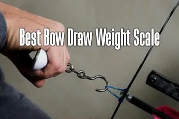 bow draw weight scale