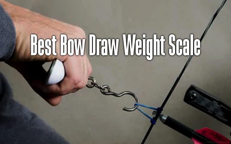 Best Bow Draw Weight Scale 2024 - Boss Targets