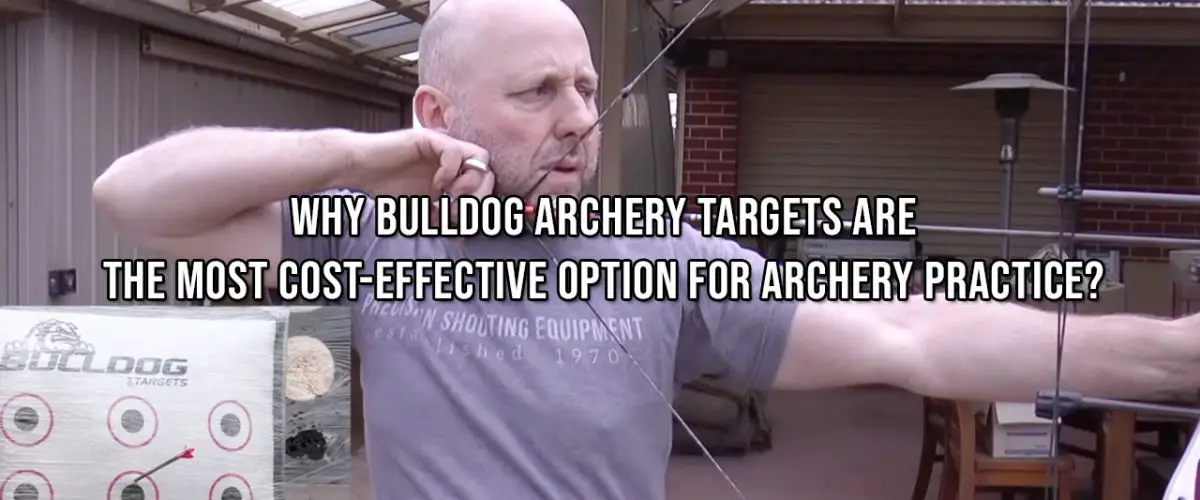 Why Bulldog Archery Targets Are The Most Cost-Effective Option For Archery Practice?